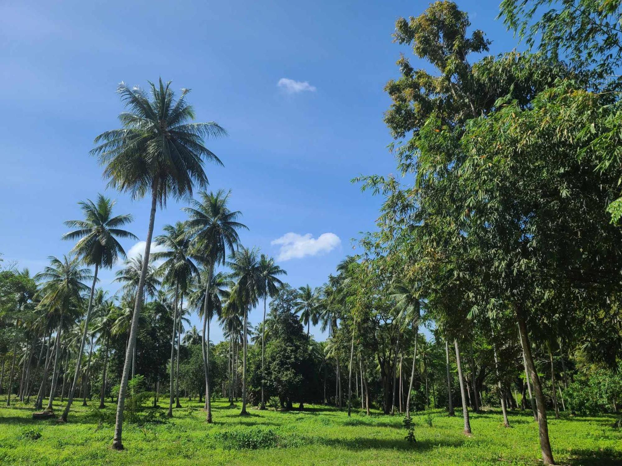 The Secret Garden Homestay Koh Yao Yai Ko Yao 외부 사진