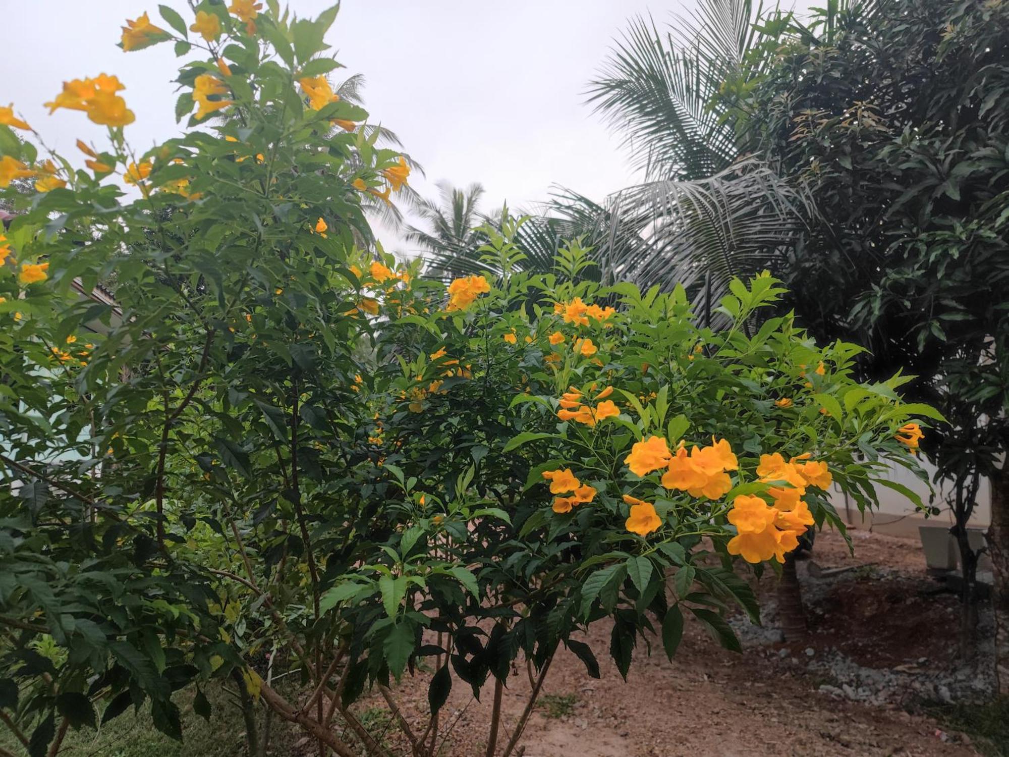 The Secret Garden Homestay Koh Yao Yai Ko Yao 외부 사진